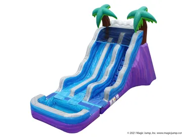 18 Dual Tropical Blast Slide and Pool
